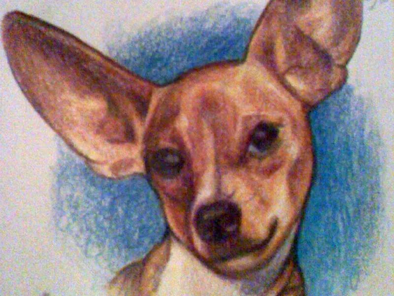 Rusty - Colored Pencil Drawing